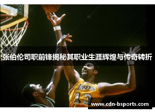 张伯伦司职前锋揭秘其职业生涯辉煌与传奇转折