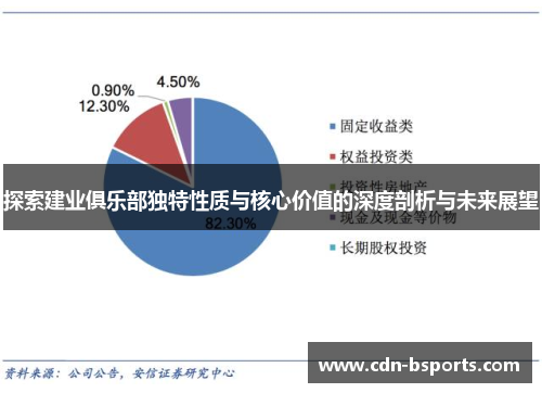 探索建业俱乐部独特性质与核心价值的深度剖析与未来展望 探索建业俱乐部独特性质与核心价值的深度剖析与未来展望