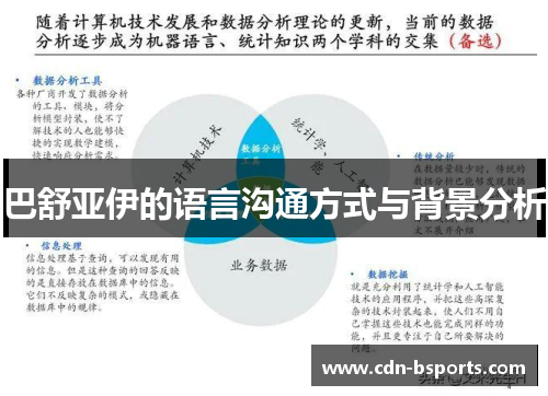 巴舒亚伊的语言沟通方式与背景分析