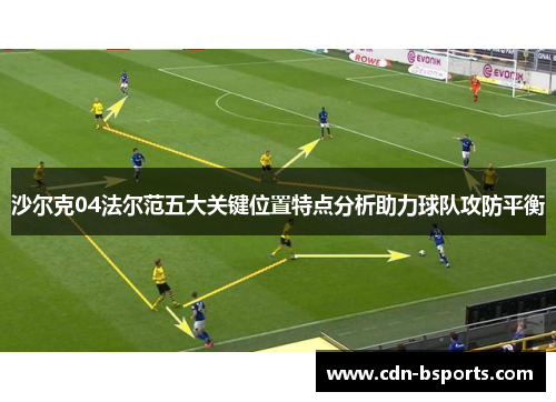 沙尔克04法尔范五大关键位置特点分析助力球队攻防平衡 沙尔克04法尔范五大关键位置特点分析助力球队攻防平衡