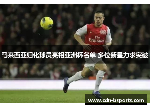 马来西亚归化球员亮相亚洲杯名单 多位新星力求突破 马来西亚归化球员亮相亚洲杯名单 多位新星力求突破