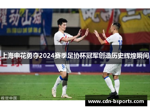 上海申花勇夺2024赛季足协杯冠军创造历史辉煌瞬间