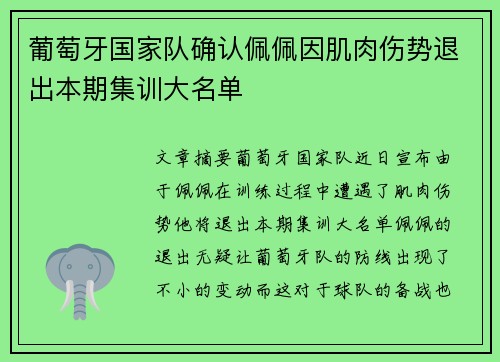 葡萄牙国家队确认佩佩因肌肉伤势退出本期集训大名单